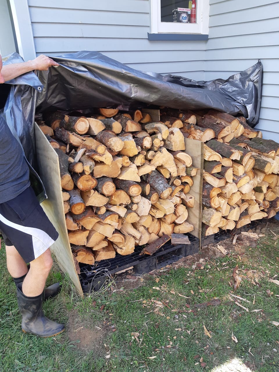 Wood supply / storage - beside back porch