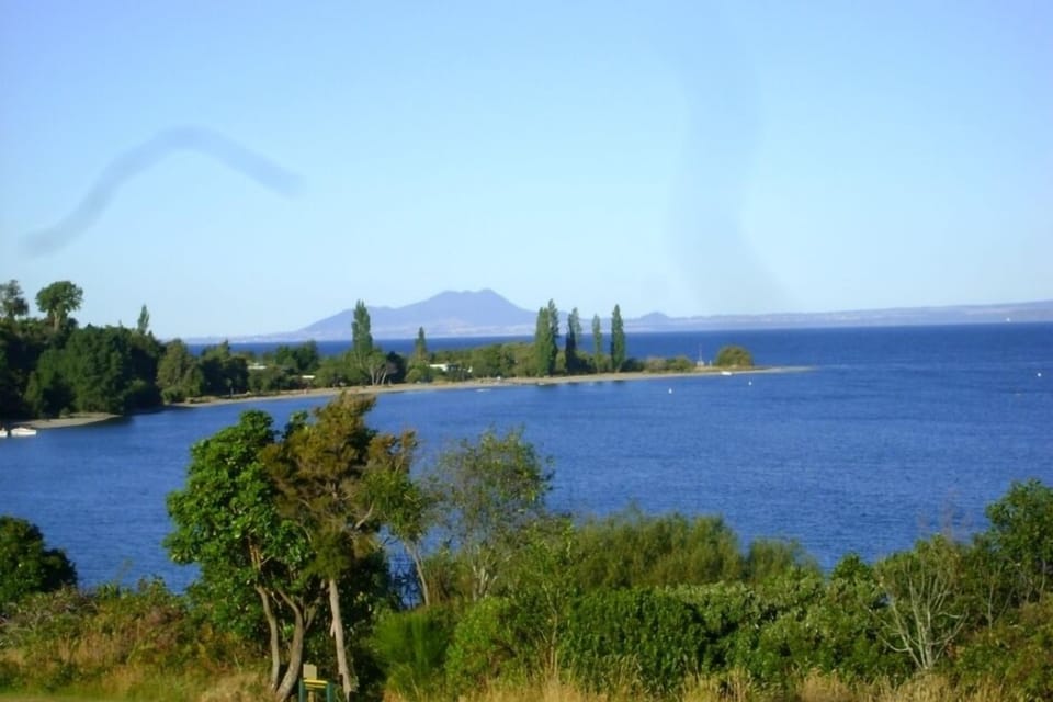 Omori view