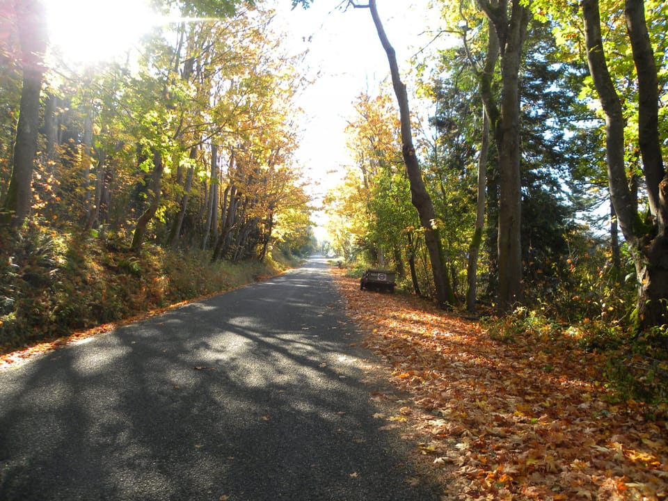 Fall - down Pull & Be Damned Road - to the cabin.