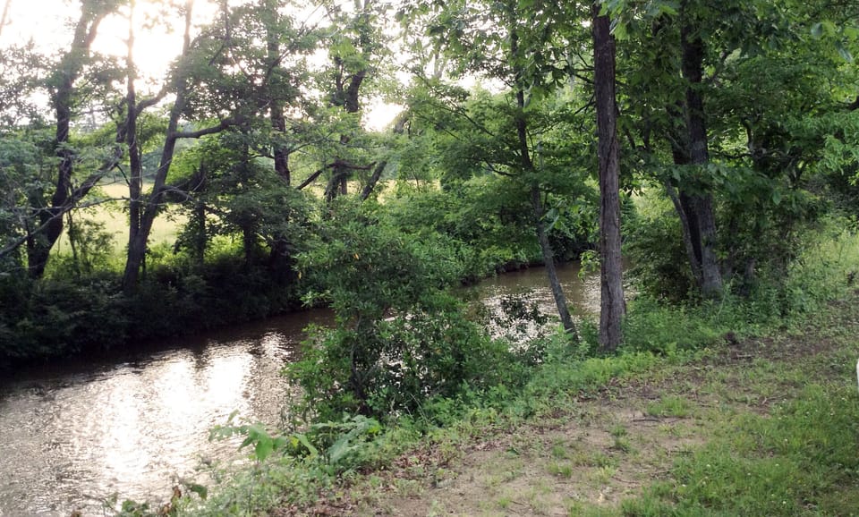 200 feet creek side cleared for easy access