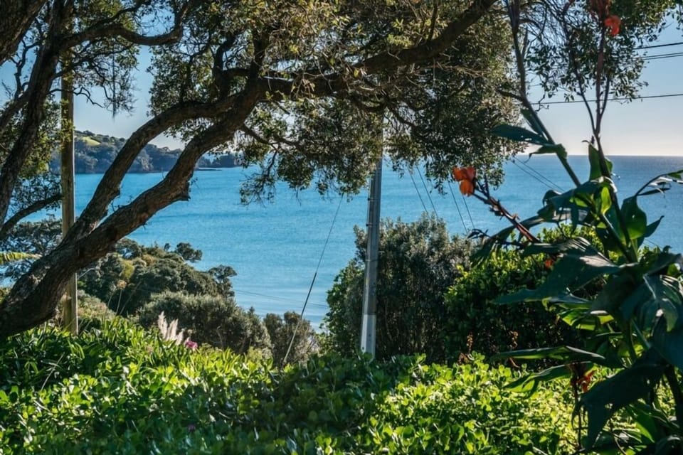 View from Deck