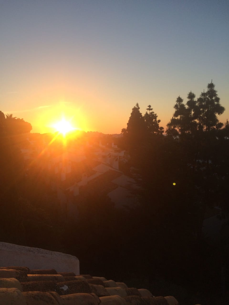 Morning view from the master bedroom