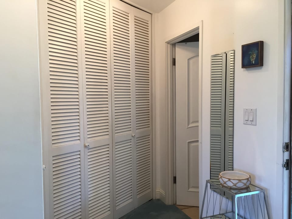 Entry way and closets