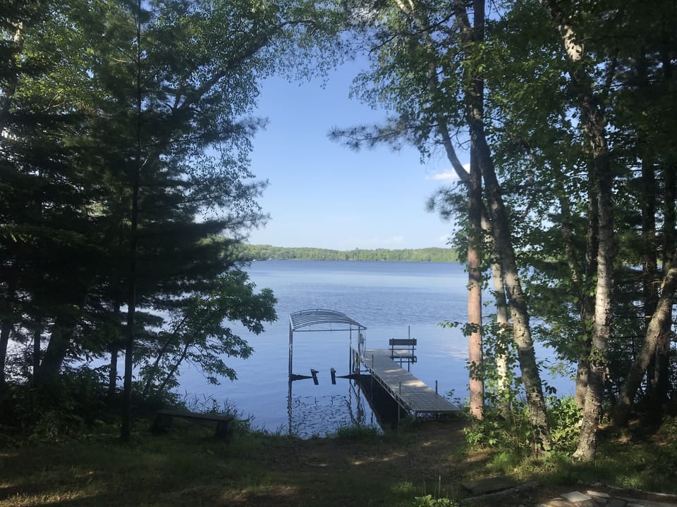 View of the lake from outside the cabin.