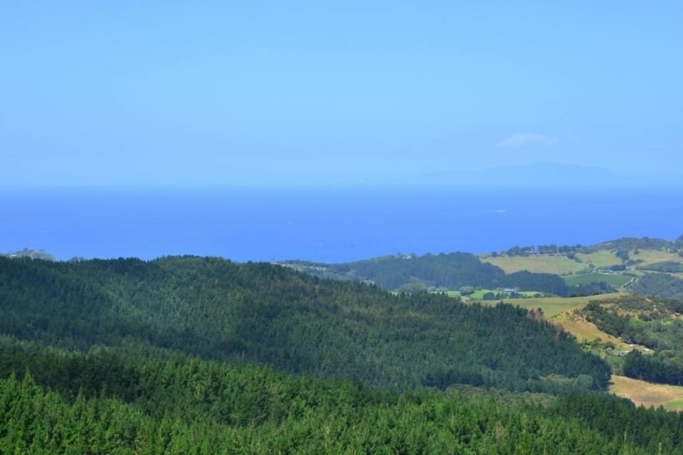 View from east verandah