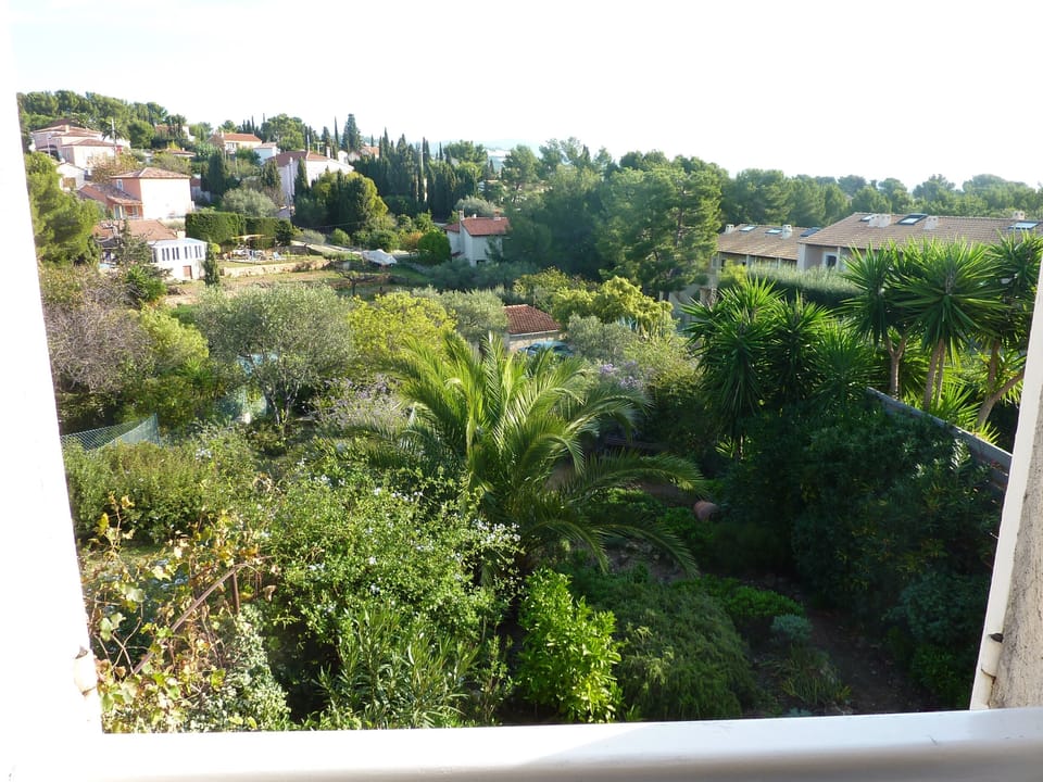 View of the valley from the bedroom, garden side