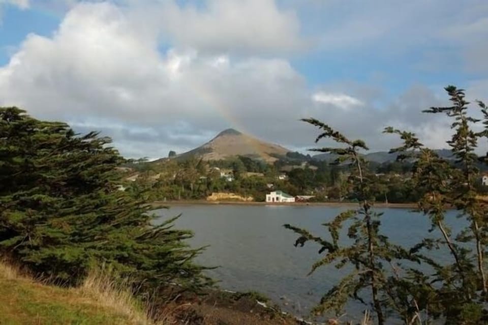 Looking towards the cottage from Hatchery Road