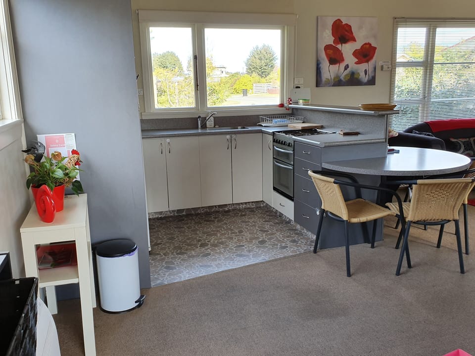 Fully functional kitchen with extra amenities (new electric oven & dishwasher)