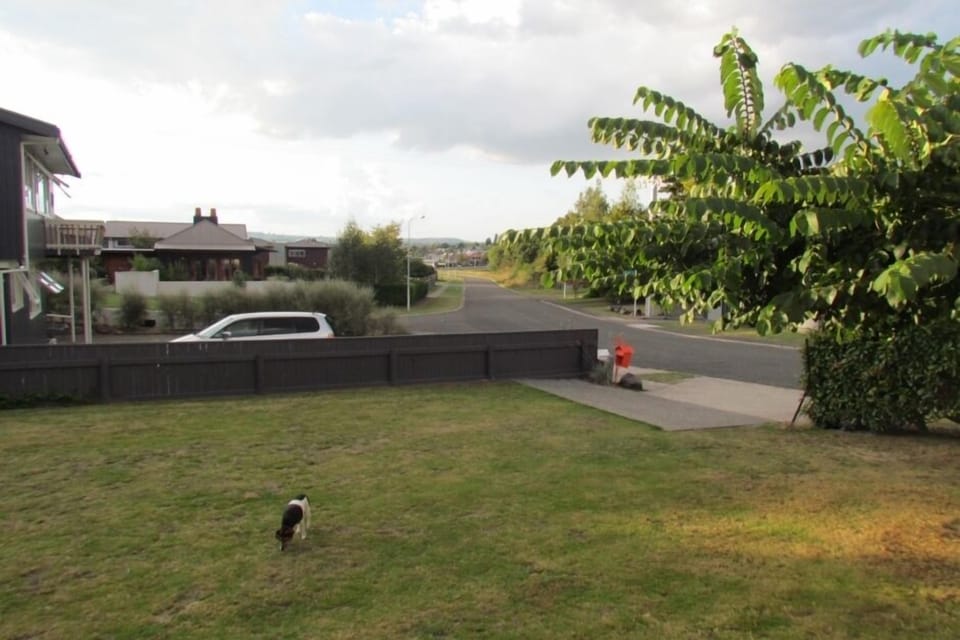 Lawn and View