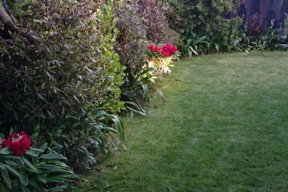 side garden
