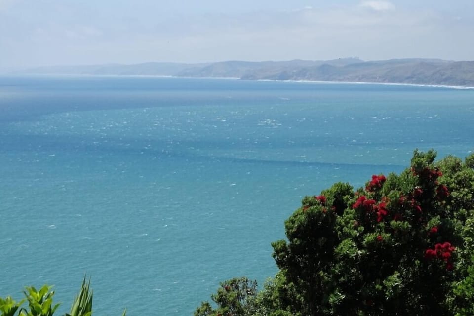 Rugged West Coast scenery