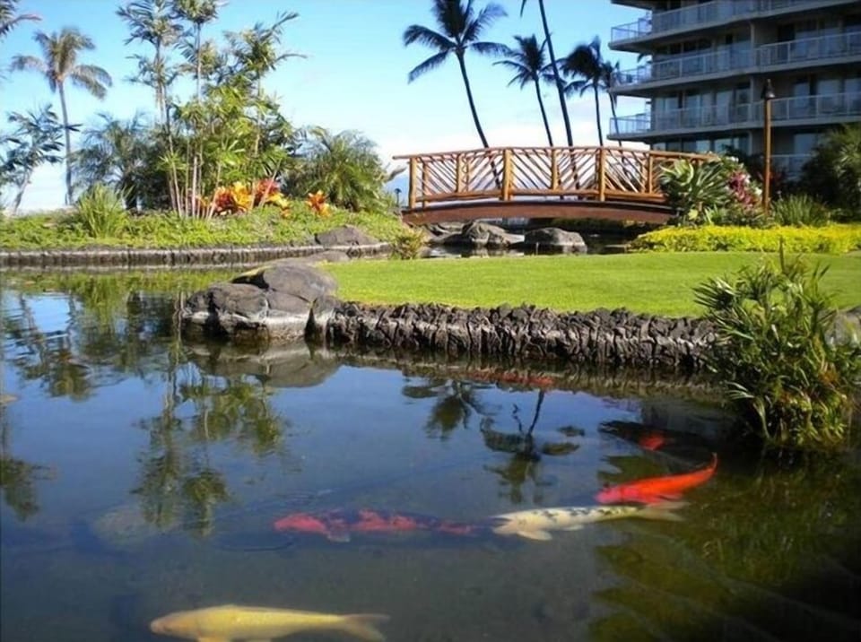 Oceanfront Courtyard with bridge and Koi Pond 