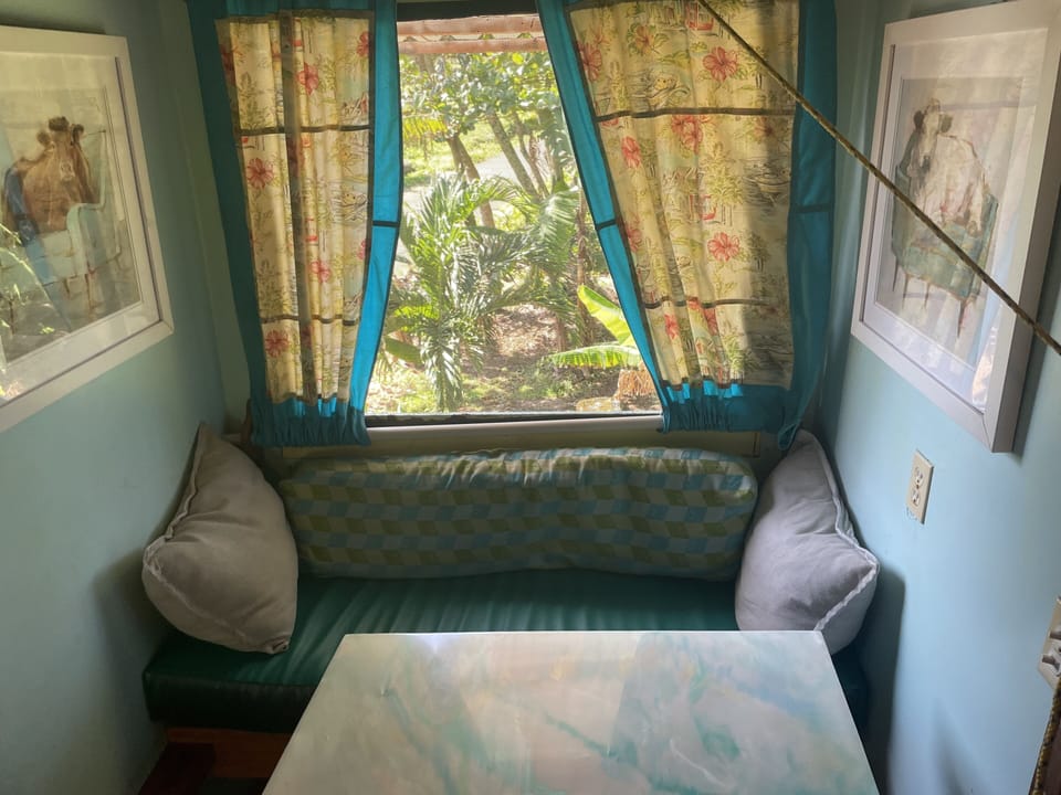 Window Seat Folds out.