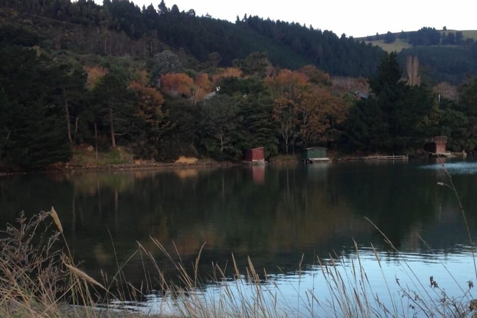 Waitati sits on the edge of beautiful Blueskin Bay