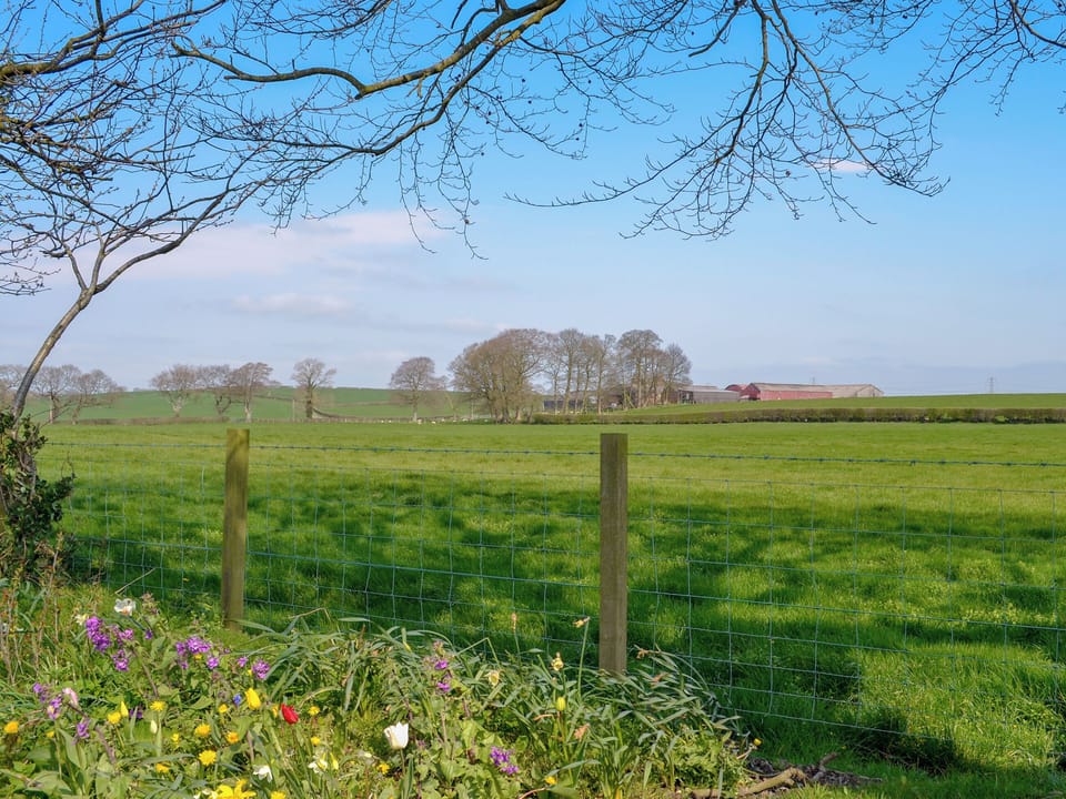 View from Kitchen window | Honeysuckle Cottage, Dreghorn, near Irvine