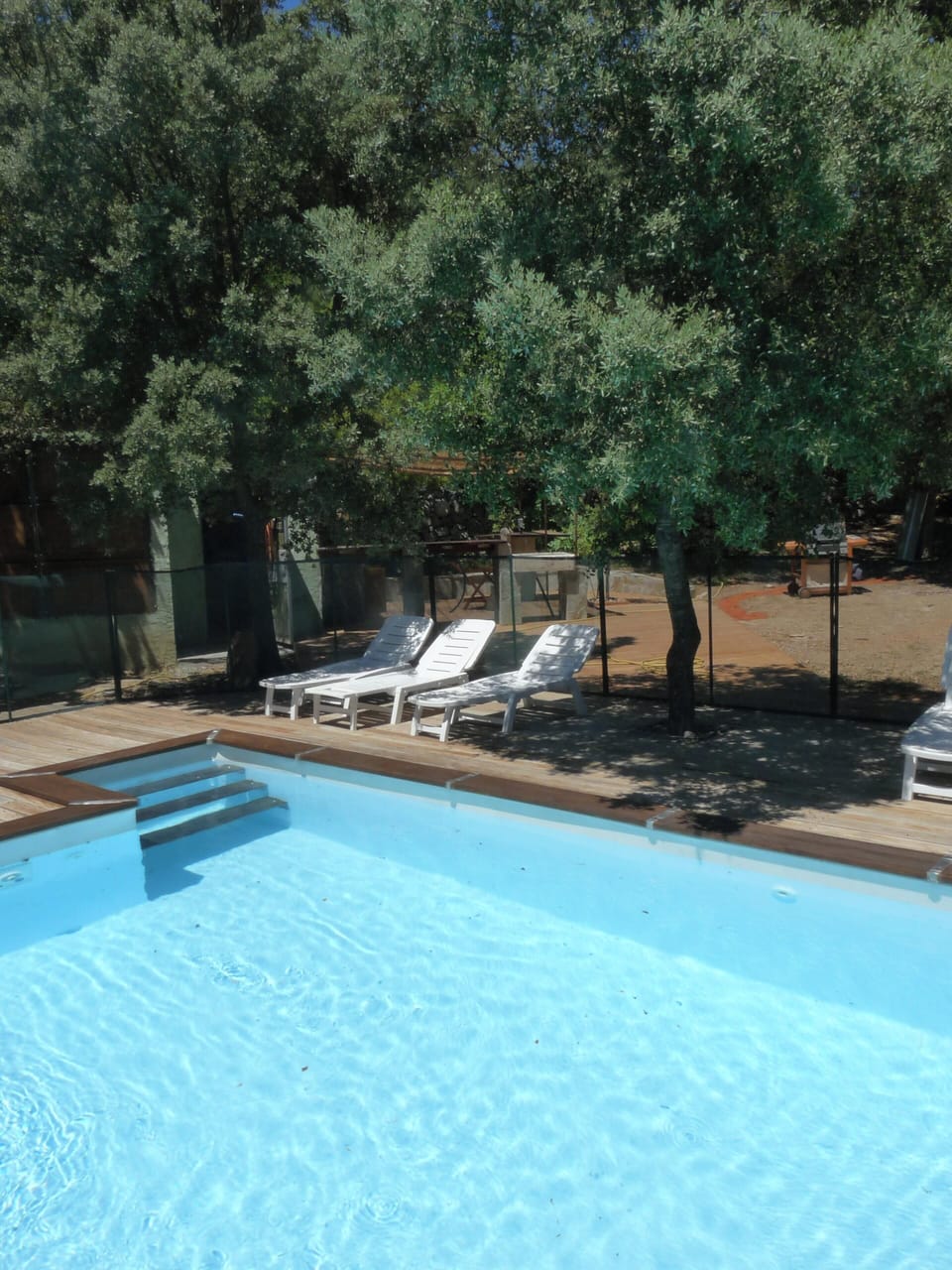 Swimming pool view