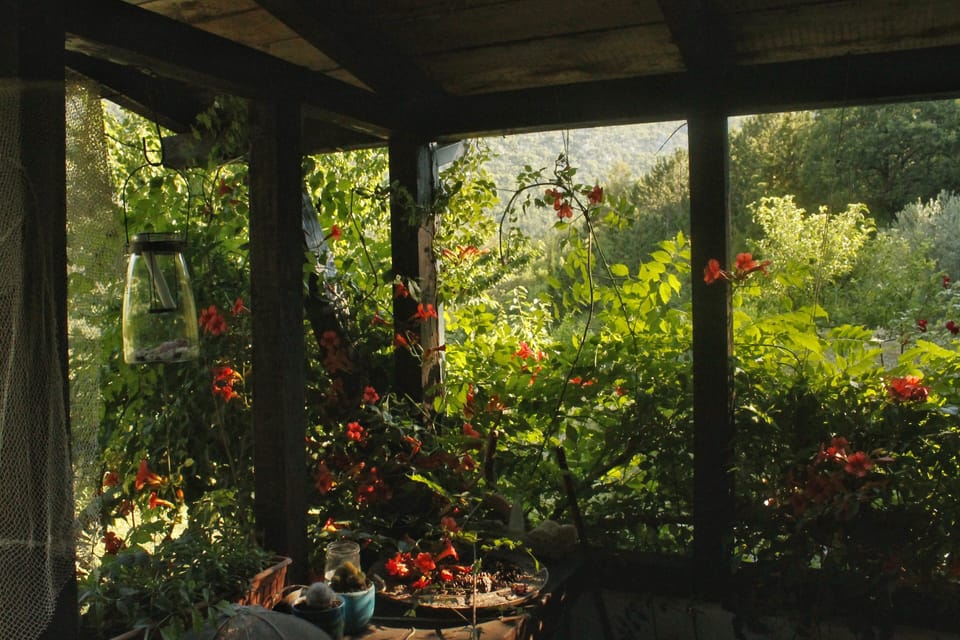 View from property