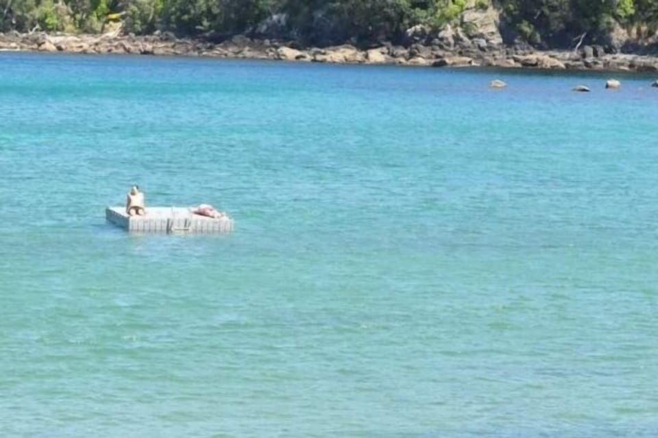 The Pontoon in the Bay