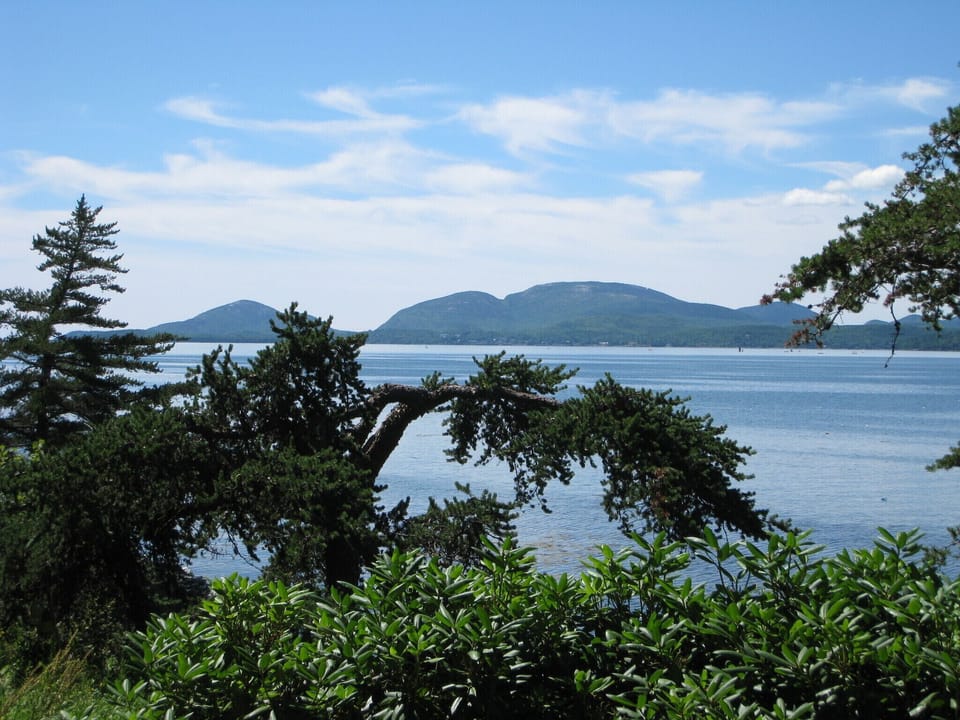Acadia and Cadillac Mt.