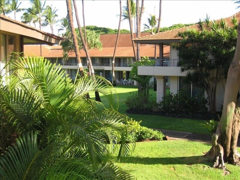 Lanai View