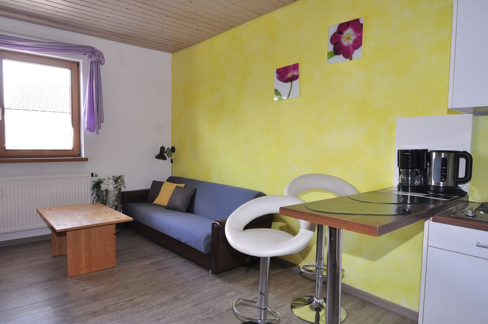 Cozy 1-room apartment (not bookable until further notice!!!!)  Apartment in Baden-Württemberg