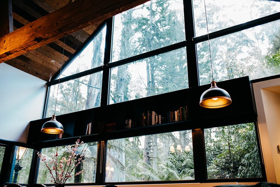 Forest views from EVERY room in the house. 