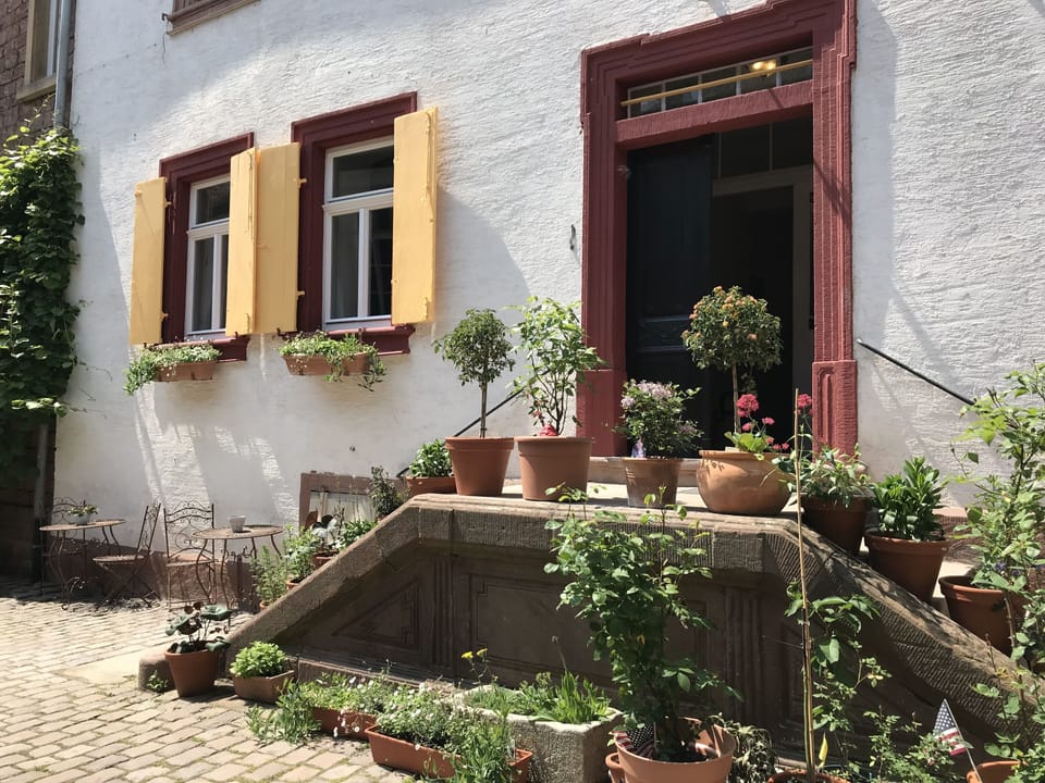 Court yard