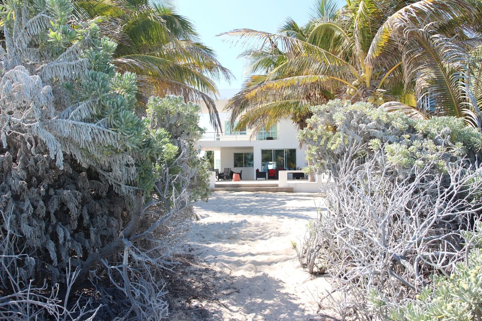 Front house view