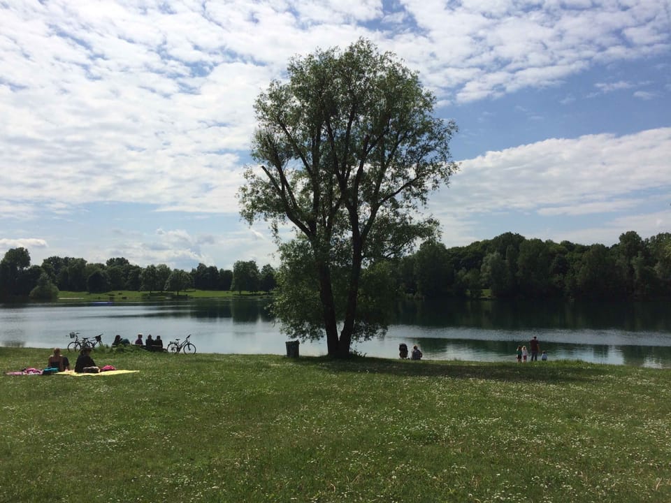 A cozy, wood-paneled house in a green setting near a lake—just outside Munich House in Dachau
