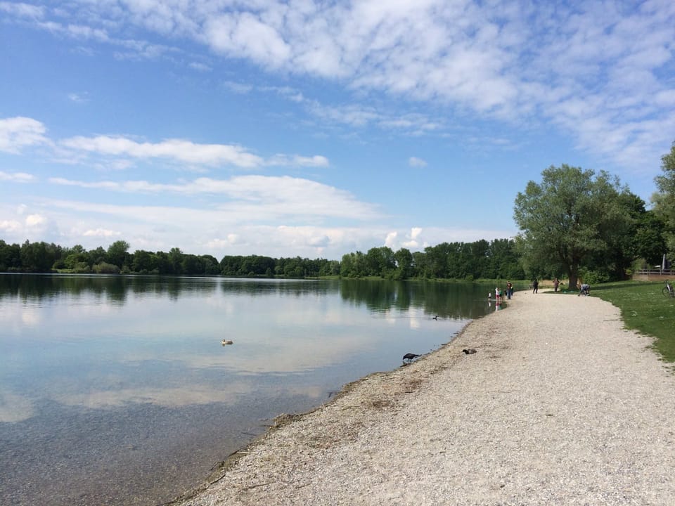 A cozy, wood-paneled house in a green setting near a lake—just outside Munich House in Dachau