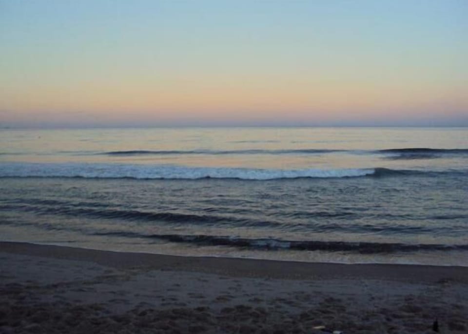 Whiritoa Beach