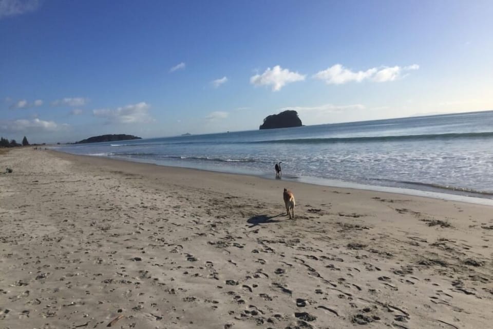 Our local beach