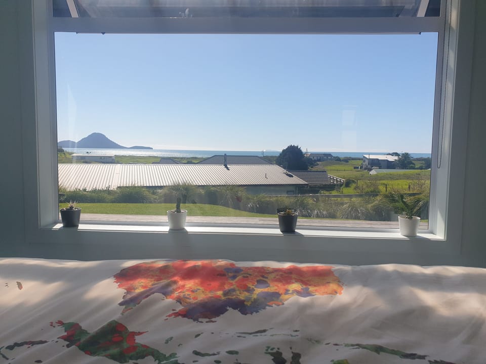 View of Moutohora (Whale) Island and Whakaari (White) Island from bed. 