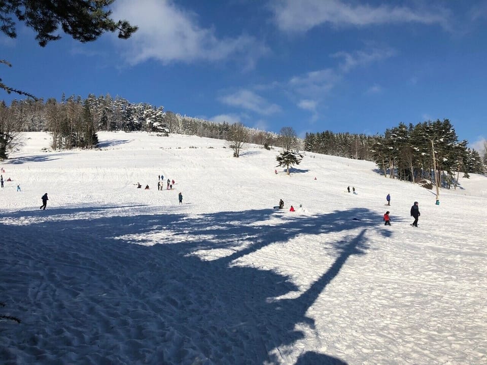Snow and ski sports