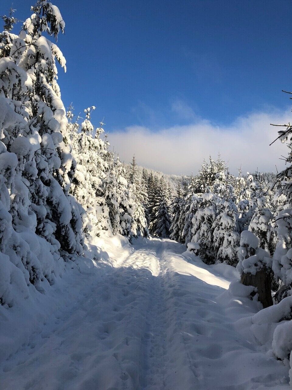 Snow and ski sports