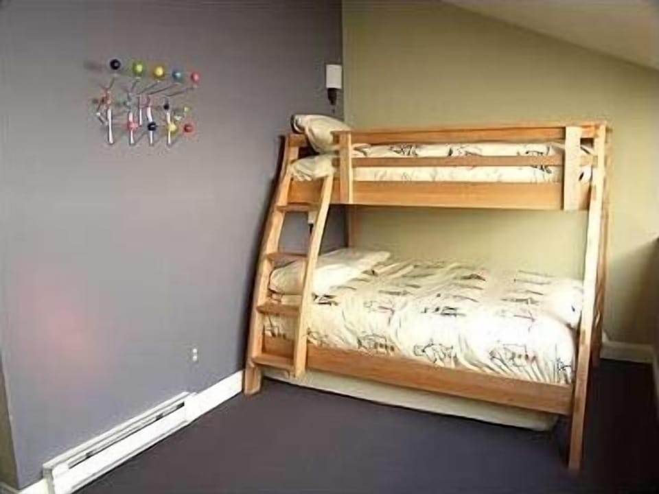 Loft Full and Twin Beds