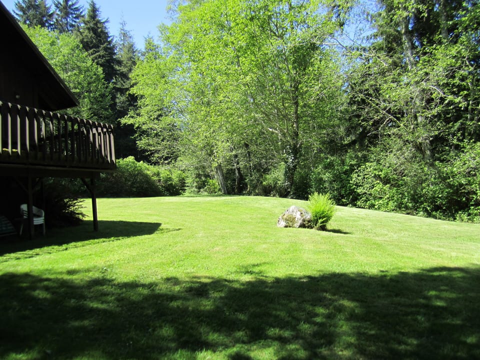 Large Yard