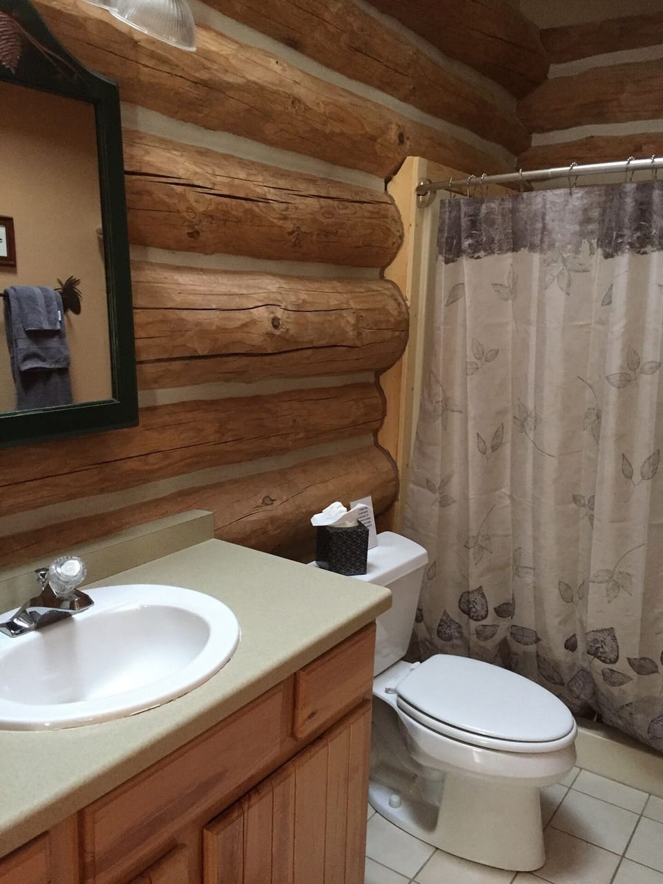 Full bathroom with walk in shower