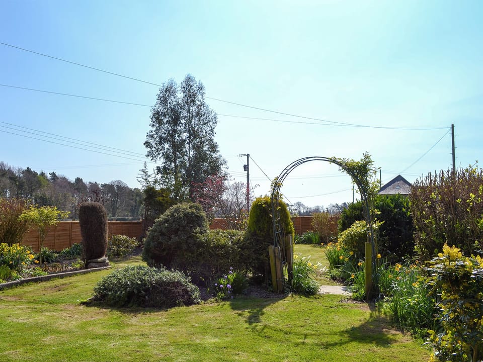 Spacious lawned garden | Sheilas Cottage, Christon bank, near Alnwick