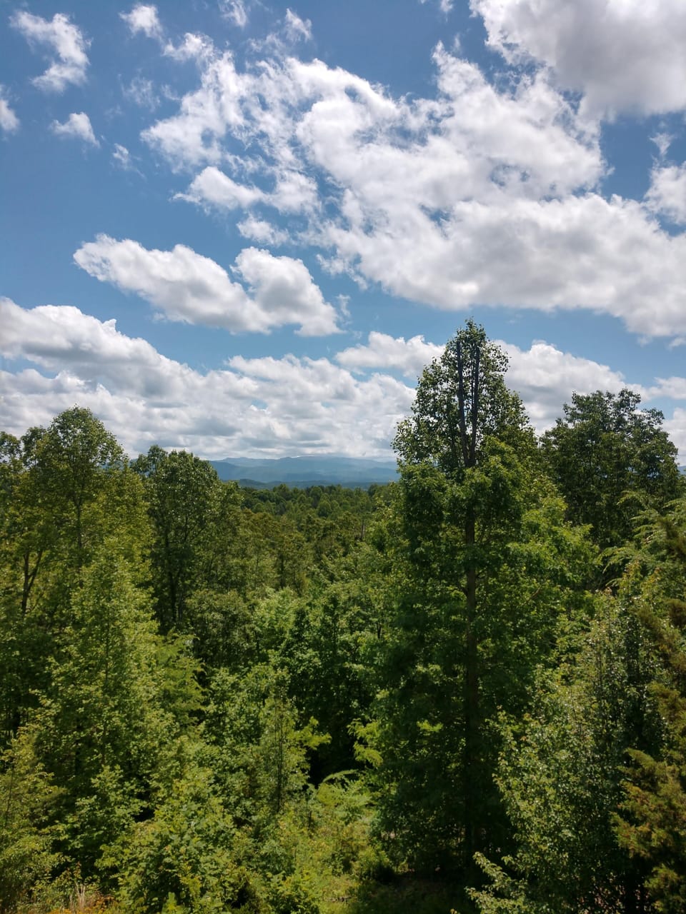 View from Front Deck