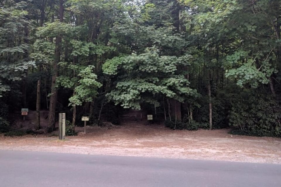 80m from the back gate
