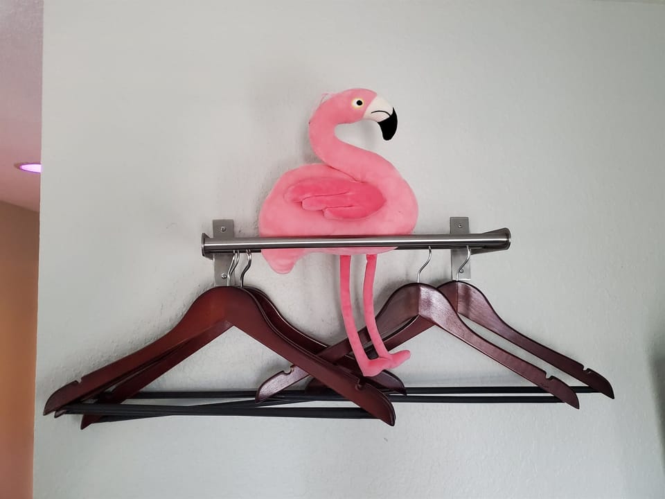 “Hanging space and storage included — perfect for your closet needs.”