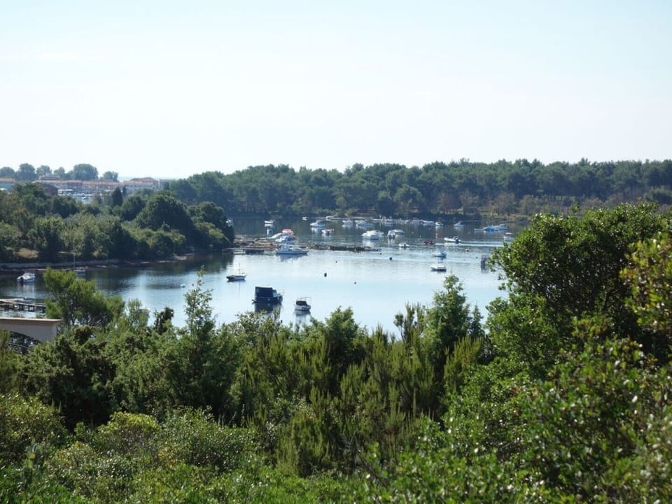 Air-conditioned apartment 250 m from the beach with private boat mooring Apartment in Medulin