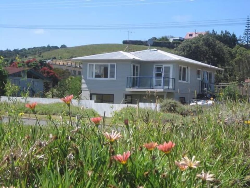 Looking back from the beach
