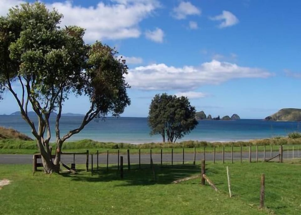 View from the deck