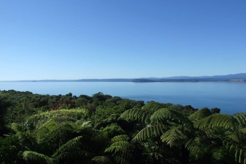 View of Lake Taupo