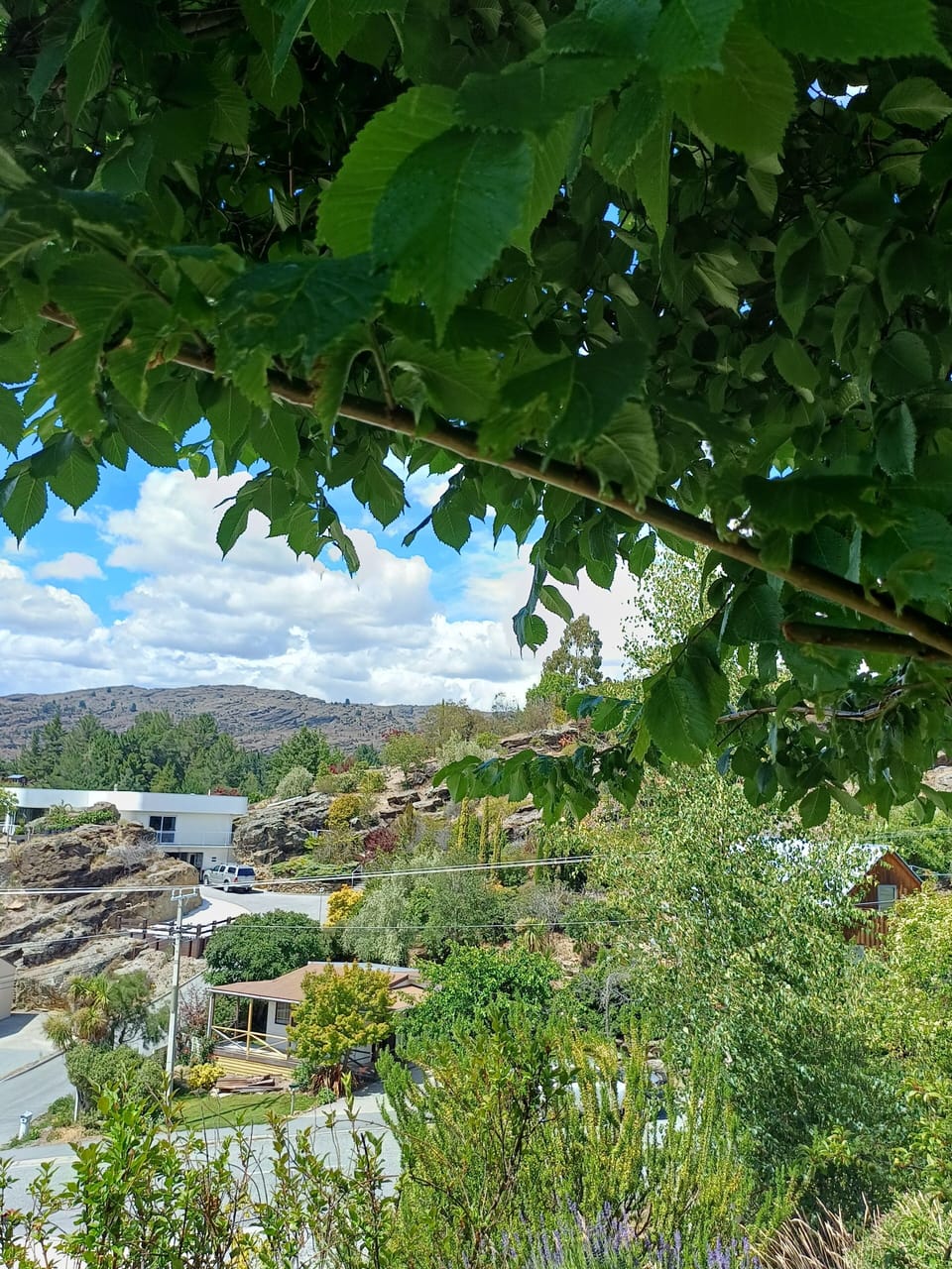 view from the bath seat at the top of the garden..