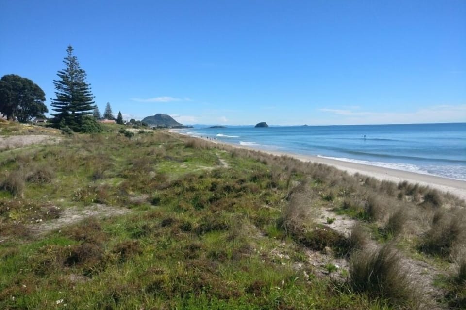 Omanu Beach access across the road.