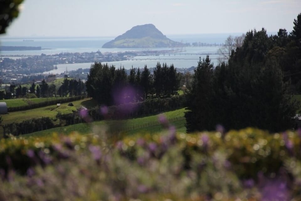 Views towards the Mount