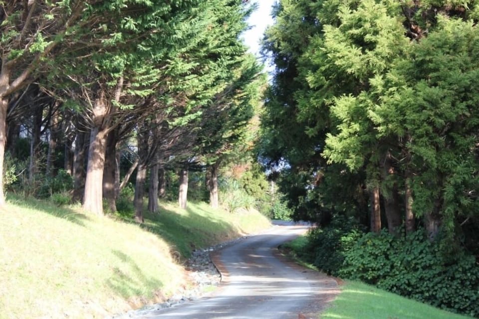 Driveway to hideaway
